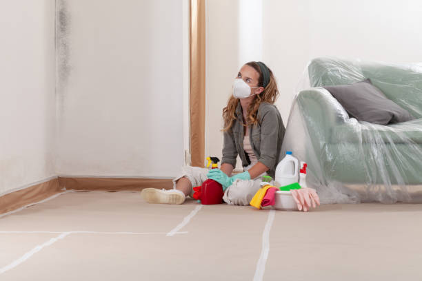 Reliable Mold Remediation contractor in Glencoe, IL by 24 Hour Mold Removal